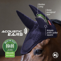 LeMieux Oornetje Acoustic Navy