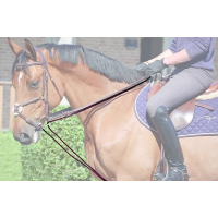 Dy'on Slofteugel Leder/Nylon