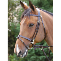 Dy'on Trainingshoofdstel Met Clips