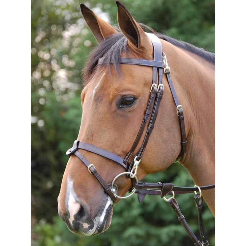 Dy'on Trainingshoofdstel Met Clips