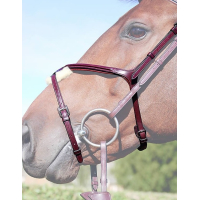 Dy'on Mexicaanse Neusriem