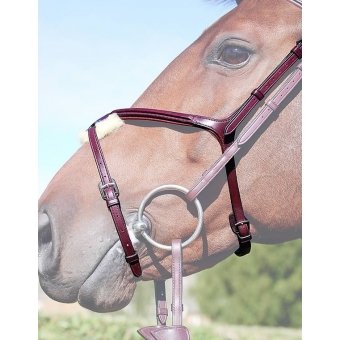 Dy'on Mexicaanse Neusriem