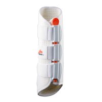 eQuick eKur Dressuur