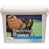 Cavalor Electrolyte Balance