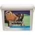 Cavalor Electrolyte Balance
